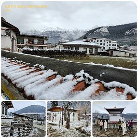 1120404西藏 林芝 魯朗 高山牧場-鲁朗林海-色季拉山 啞口-雅尼國家濕地公園-八一鎮 拼圖(2).jpg