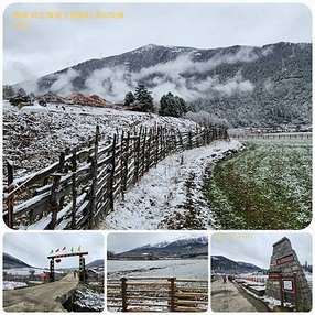 1120404西藏 林芝 魯朗 高山牧場-鲁朗林海-色季拉山 啞口-雅尼國家濕地公園-八一鎮 拼圖(4).jpg
