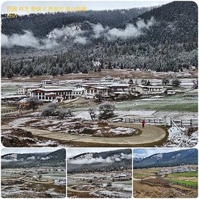 1120404西藏 林芝 魯朗 高山牧場-鲁朗林海-色季拉山 啞口-雅尼國家濕地公園-八一鎮 拼圖(12).jpg
