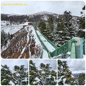 1120404西藏 林芝 魯朗 高山牧場-鲁朗林海-色季拉山 啞口-雅尼國家濕地公園-八一鎮 拼圖(26).jpg