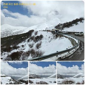 1120404西藏 林芝 魯朗 高山牧場-鲁朗林海-色季拉山 啞口-雅尼國家濕地公園-八一鎮 拼圖(29).jpg