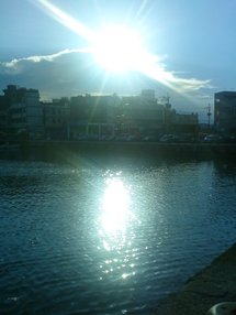 DSC00784.JPG