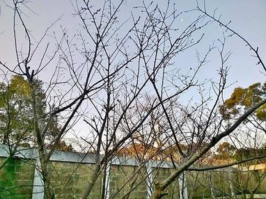 WP_20140123_019