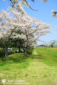 平城宮跡 (1016)