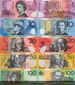 Australian_dollar_banknote_set_Polymer.jpg