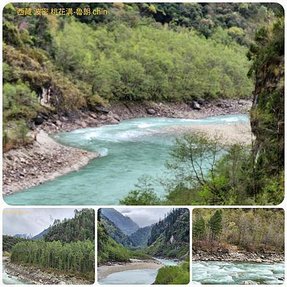 1120403西藏 林芝 魯朗-波密 嘎朗湖 嘎朗村 桃花溝 拼圖(25).jpg