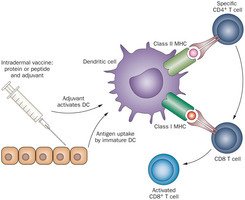 cancer vaccine