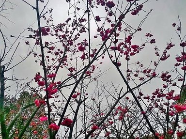 WP_20140204_002