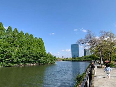 ［京都自駕遊］京都寺廟走斷腿之旅