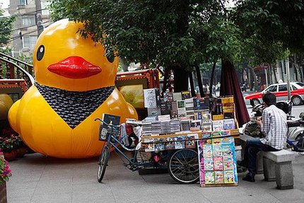 the-duck-on-a-street-in-s-002