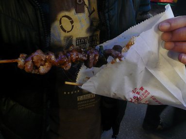 P1000515.JPG