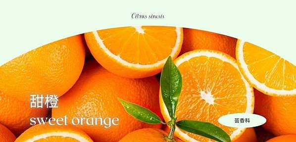 sweet orange