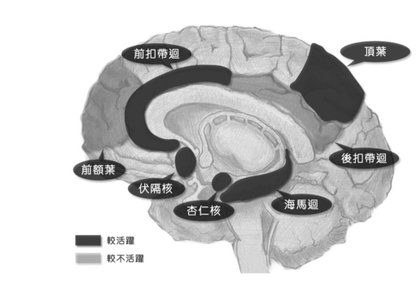 當心理學遇到腦科學（一）：大腦如何感知這個世界page 178.jpg
