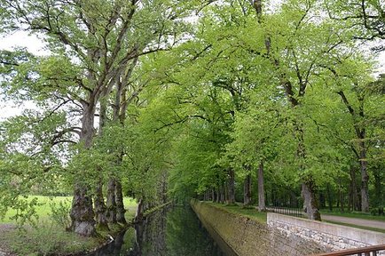 DSC_0178.JPG