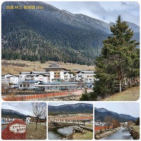 1120402西藏 林芝 嘎拉桃花村-色季拉山-魯朗 拼圖(14).jpg