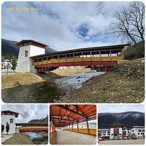 1120402西藏 林芝 嘎拉桃花村-色季拉山-魯朗 拼圖(15).jpg