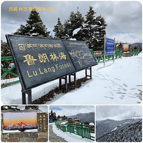 1120404西藏 林芝 魯朗 高山牧場-鲁朗林海-色季拉山 啞口-雅尼國家濕地公園-八一鎮 拼圖(24).jpg
