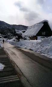 120129_1317~04.jpg