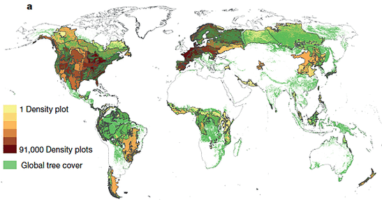 tree distribution