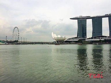 13221044_593850724117776_1721917707330562215_n.jpg