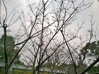 WP_20140126_023