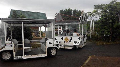 遊園車