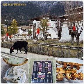 1120402西藏 林芝 嘎拉桃花村-色季拉山-魯朗 拼圖(16).jpg
