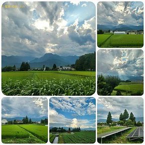 拼圖1120804富山-立山黑部-信濃大町-松本(43).jpg