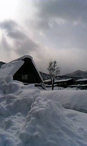 120129_1317~02.jpg