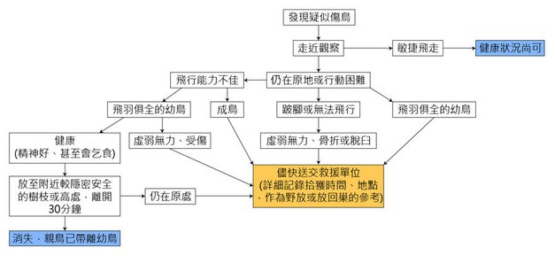 鳥類救援.jpg