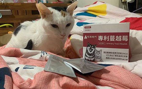 毛孩.jpg