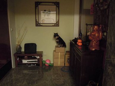 201111 (2)