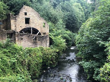 Jesmond Dene 公園