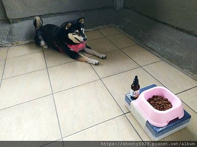 2021 毛起來毛食事計畫 15