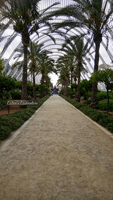 Ciudad de las Artes y las Ciencias6.png
