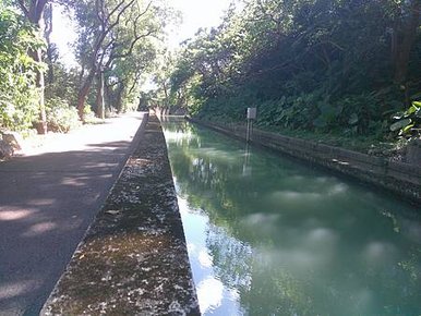 [桃園旅遊]石門大圳綠色廊道平鎮區內鎮興段步道，俯瞰大圳水流