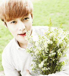 yixing_nature_republic_by_kayleetihun-d6wl2se