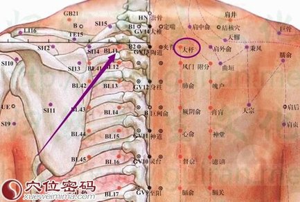 大杼穴.jpg