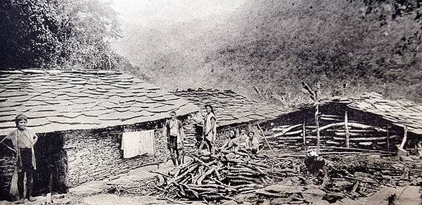 1964年員工旅遊照/老照片