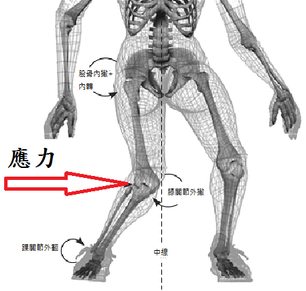 膝蓋內側韌帶傷害