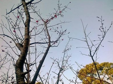 WP_20140128_015