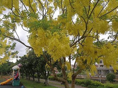 [新竹旅遊]公二公園雕塑品不少、適合幼兒放風、幾乎沒甚麼人的