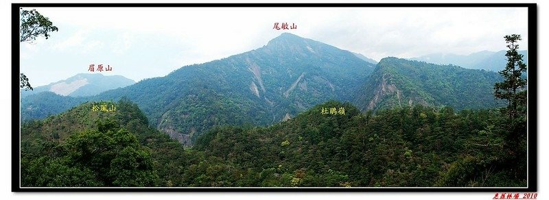 惠蓀林場北望群山