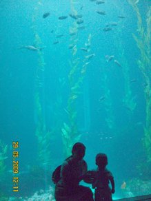 DSCN7399.JPG