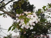 DSC01021.JPG