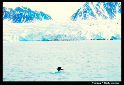 Spitsbergen_glacier.jpg