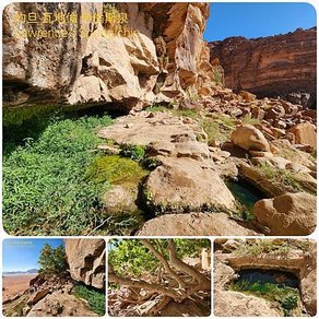 約旦自助行（二）瓦迪穆薩 小佩特拉-瓦地倫Wadi Rum-