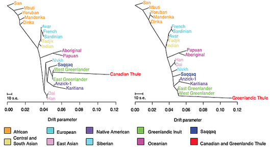 Neo-Eskimos genetic continuity