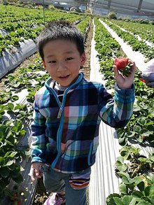 IMG_20170131_110313.jpg