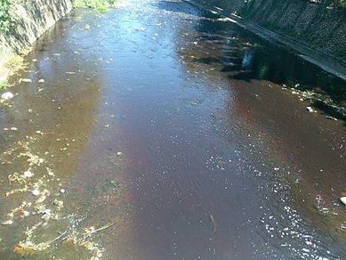 [桃園旅遊]平鎮區紅磚糯米結構鎮南橋，日治時期建立的百年建築